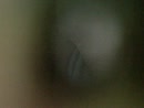 lekkere billen, film 00:00:22, 0 reacties, 3 stemmen