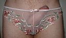 Me in panties, foto 1711x1008, 3 reacties, 6 stemmen