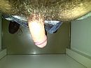 Me, foto 2592x1944, 3 reacties, 6 stemmen