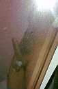 Me, foto 668x1016, 2 reacties, 3 stemmen