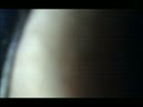 ., film 00:00:36, 4 reacties, 17 stemmen