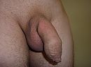 Mijn nog zachte pik, foto 2560x1920, 18 reacties, 37 stemmen
