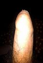 Mijn penis in de ochtend......, foto 1380x2006, 0 reacties, 0 stemmen