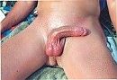 Mijn penis, foto 189x130, 0 reacties, 4 stemmen