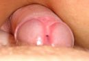 Mijn zalige eikel.., foto 357x246, 0 reacties, 1 stemmen