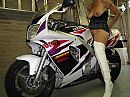 Motorbabe, foto 1066x800, 23 reacties, 108 stemmen