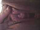 Nat en geil, foto 640x480, 5 reacties, 12 stemmen