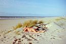 Nothing's happening by the sea, foto 480x320, 1 reacties, 3 stemmen