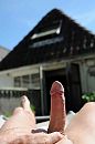 Op m'n dakterras, foto 680x1024, 1 reacties, 10 stemmen