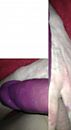 Paars, foto 1793x3264, 2 reacties, 1 stemmen