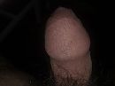 Pik dicht, foto 2592x1944, 0 reacties, 1 stemmen