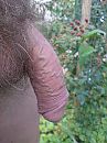 Plasje kan deugd doen., foto 1224x1632, 2 reacties, 11 stemmen
