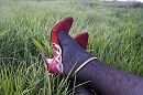 Rode pumps, for sale, foto 900x600, 1 reacties, 7 stemmen