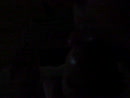 :), film 00:00:05, 2 reacties, 12 stemmen