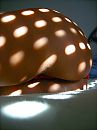 Sunlight, foto 3000x4000, 9 reacties, 57 stemmen