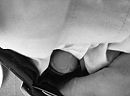 Top View, foto 1296x968, 0 reacties, 0 stemmen