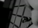 vrij dag, film 00:00:35, 0 reacties, 1 stemmen