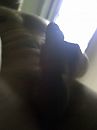 Van onderaf, foto 1944x2592, 1 reacties, 1 stemmen
