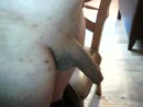 van slap naar hard, film 00:01:45, 0 reacties, 6 stemmen