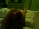 BA, film 00:00:14, 1 reacties, 6 stemmen