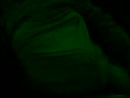 Having some fun..., film 00:00:50, 1 reacties, 2 stemmen