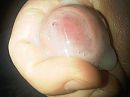 Zaad, foto 1792x1344, 0 reacties, 0 stemmen
