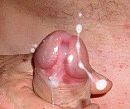 Zaad....veel zaad...., foto 233x196, 0 reacties, 1 stemmen