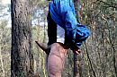 ., foto 800x531, 2 reacties, 8 stemmen
