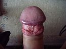...., foto 2816x2112, 1 reacties, 0 stemmen