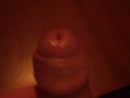 zaadpaal, film 00:00:48, 0 reacties, 2 stemmen