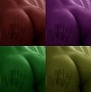 andy warhole asses, foto 479x480, 0 reacties, 3 stemmen