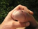 beetje nat geworden, foto 2288x1712, 1 reacties, 6 stemmen