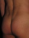 billen, foto 1944x2592, 0 reacties, 3 stemmen