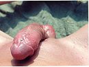 Mijn penis, foto 1085x823, 0 reacties, 4 stemmen