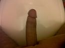 dames hij is beschikbaar., foto 1600x1200, 0 reacties, 0 stemmen