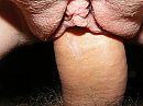 dikke pik in mijn kut, foto 3264x2448, 1 reacties, 8 stemmen