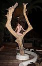 even stiekem in de boom, foto 1337x2061, 13 reacties, 125 stemmen