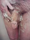 ff wassen, foto 1200x1600, 3 reacties, 5 stemmen