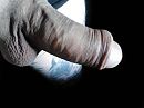 gezocht, foto 2048x1536, 0 reacties, 0 stemmen