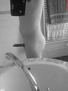 goeie morgen, foto 414x552, 0 reacties, 1 stemmen