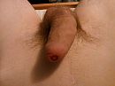 halfstijf, foto 2560x1920, 0 reacties, 4 stemmen