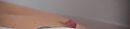 iep, foto 2447x558, 0 reacties, 4 stemmen