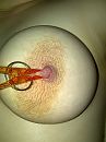 (kinky) opdrachtje 1, foto 1500x2000, 2 reacties, 6 stemmen