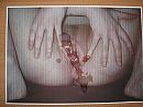 kletsnat, foto 2592x1944, 0 reacties, 2 stemmen