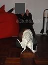 languit, foto 895x1193, 4 reacties, 19 stemmen