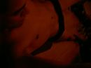 lauwtjess, foto 640x480, 0 reacties, 5 stemmen