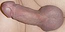 lekker stijf, foto 1264x630, 0 reacties, 4 stemmen