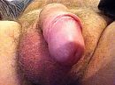 lekker?, foto 640x480, 14 reacties, 62 stemmen