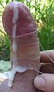 lekker, foto 485x809, 12 reacties, 33 stemmen