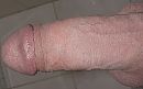lekker, foto 1631x1020, 0 reacties, 1 stemmen